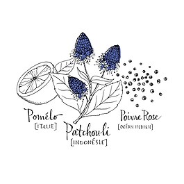 Patchouli Riviera Cologne Absolue - Eau de Parfum