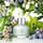 Skin Love - Glow Elixir