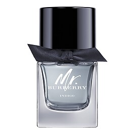 Mr. Burberry Indigo Eau de Toilette