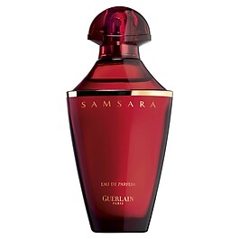Samsara image