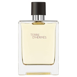 Terre d'Hermès - Eau de toilette image
