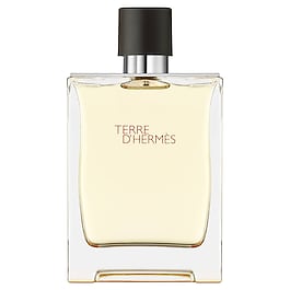 Terre d'Hermès - Eau de Toilette image