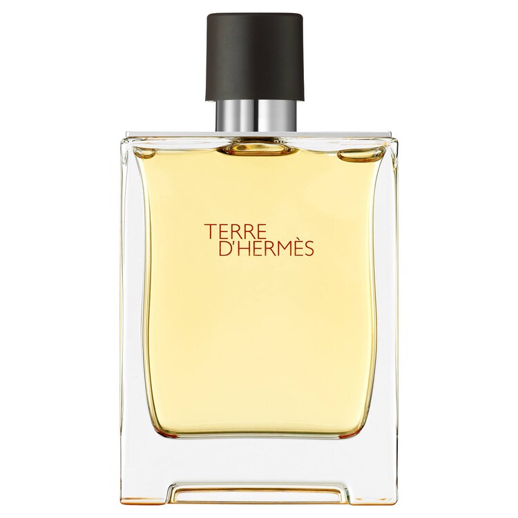Terre d'Hermès - Parfém