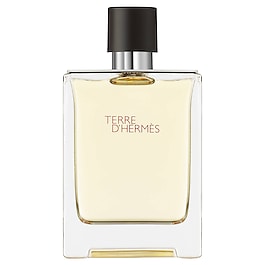 Terre d'Hermès - Eau de toilette image