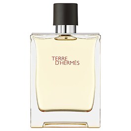 Terre d'Hermès - Eau de toilette
