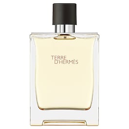 Terre d'Hermès - Eau de toilette image