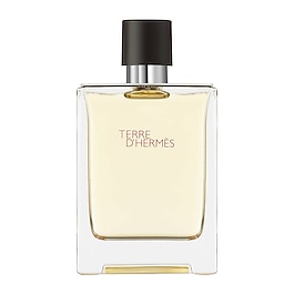 Terre d'Hermès - Eau de toilette