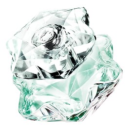 Lady Emblem L'Eau - Woda toaletowa