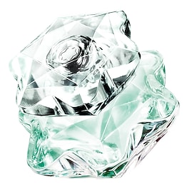 Lady Emblem L'Eau - Woda toaletowa image