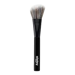 Pinceau Blush, SISLEY