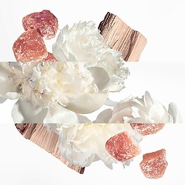 Twilly Eau Ginger - Woda perfumowana