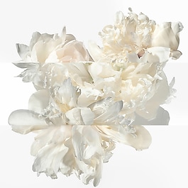 Twilly Eau Ginger - Woda perfumowana