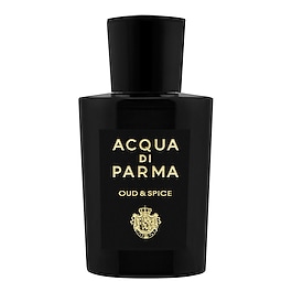 OUD & SPICE image