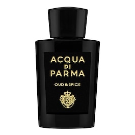 Oud & Spice image