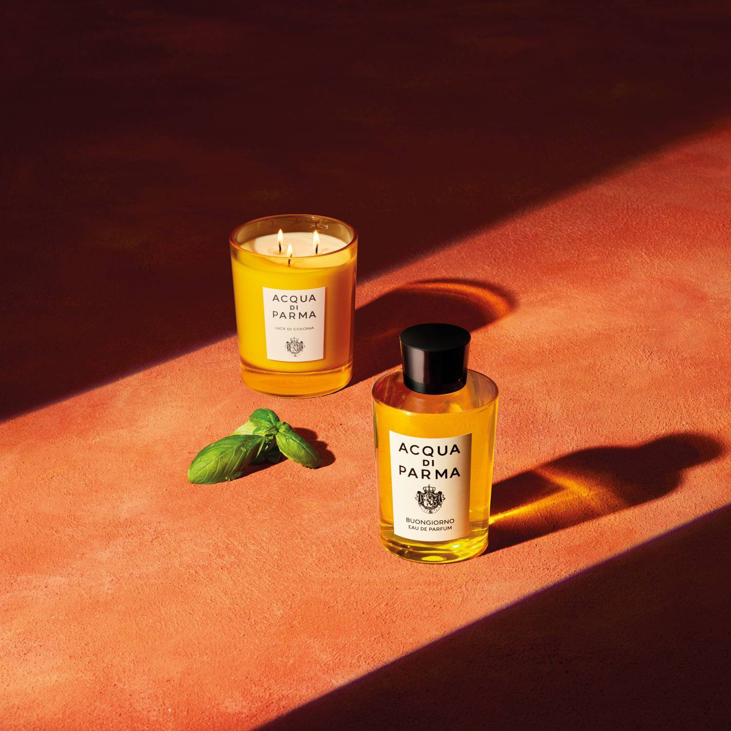 Buongiorno woda perfumowana i ACQUA DI PARMA ≡ SEPHORA