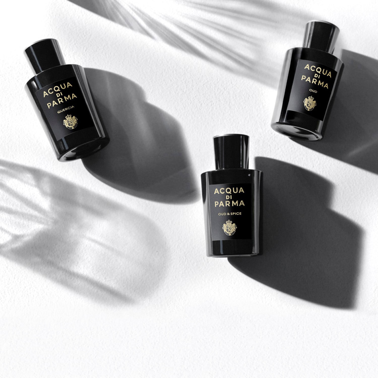 Signatures of the Sun Oud & Spice - Eau de Parfum Spicy