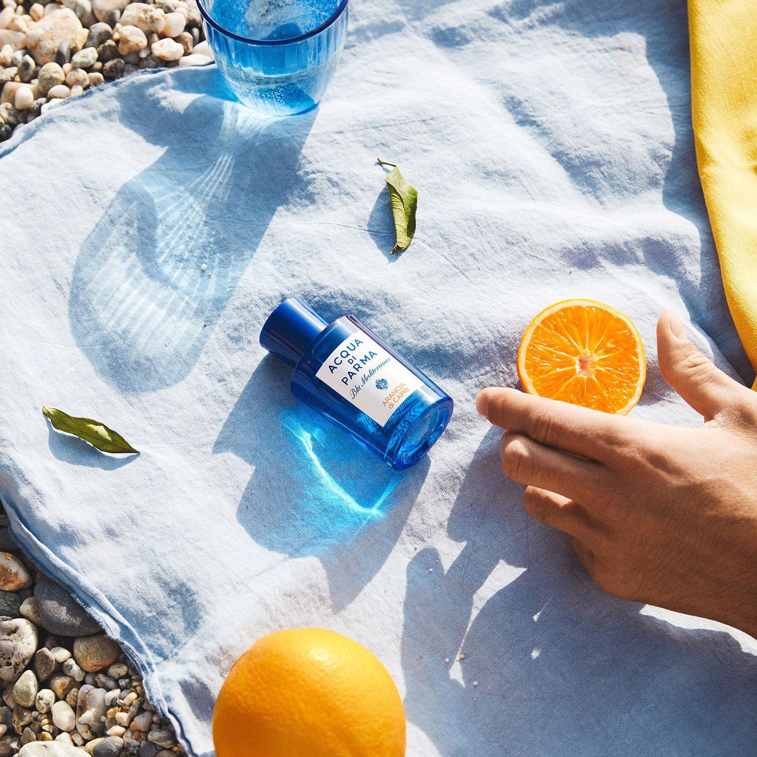 ACQUA DI PARMA Arancia di Capri ≡ SEPHORA