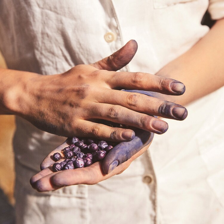 Blu Mediterraneo Mirto di Panarea Eau de Toilette