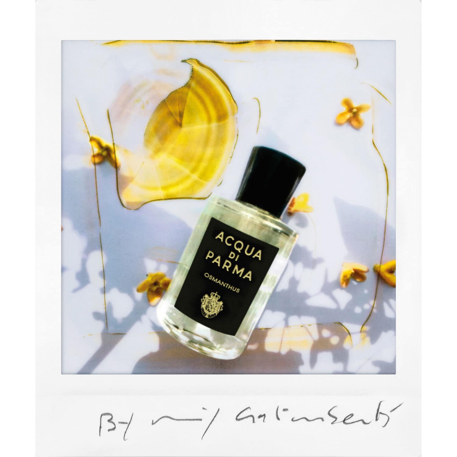 【DoctorM】ACQUA DI PARMA OSMANTHUS 100 Acqua Di Parma Osmanthus Eau de Parfum woda perfumowana 180