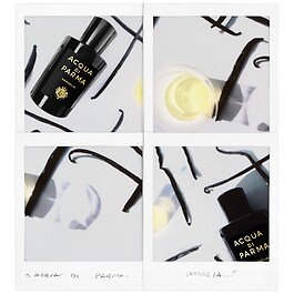 Signatures of the Sun Vaniglia - Eau de Parfum Orientale aux Agrumes