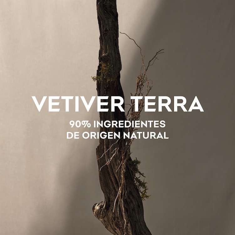 Vetiver Terra - Eau de Parfum