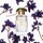 Cedar Violet - Woda perfumowana