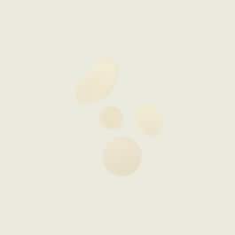 Toner Ambivalent für das Gesicht - beruhigende Lotion
