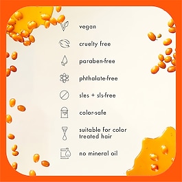 The Wizard &ndash; Primer na vlasy bez silikonů