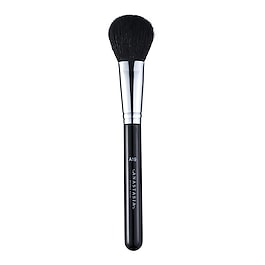 Brush A19 image
