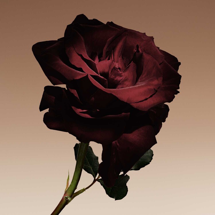 Armani/Privé Cuir Nu - Apa de Parfum