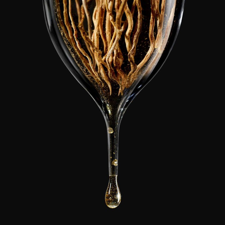 Armani Privé Noir Kogane - Eau de Parfum