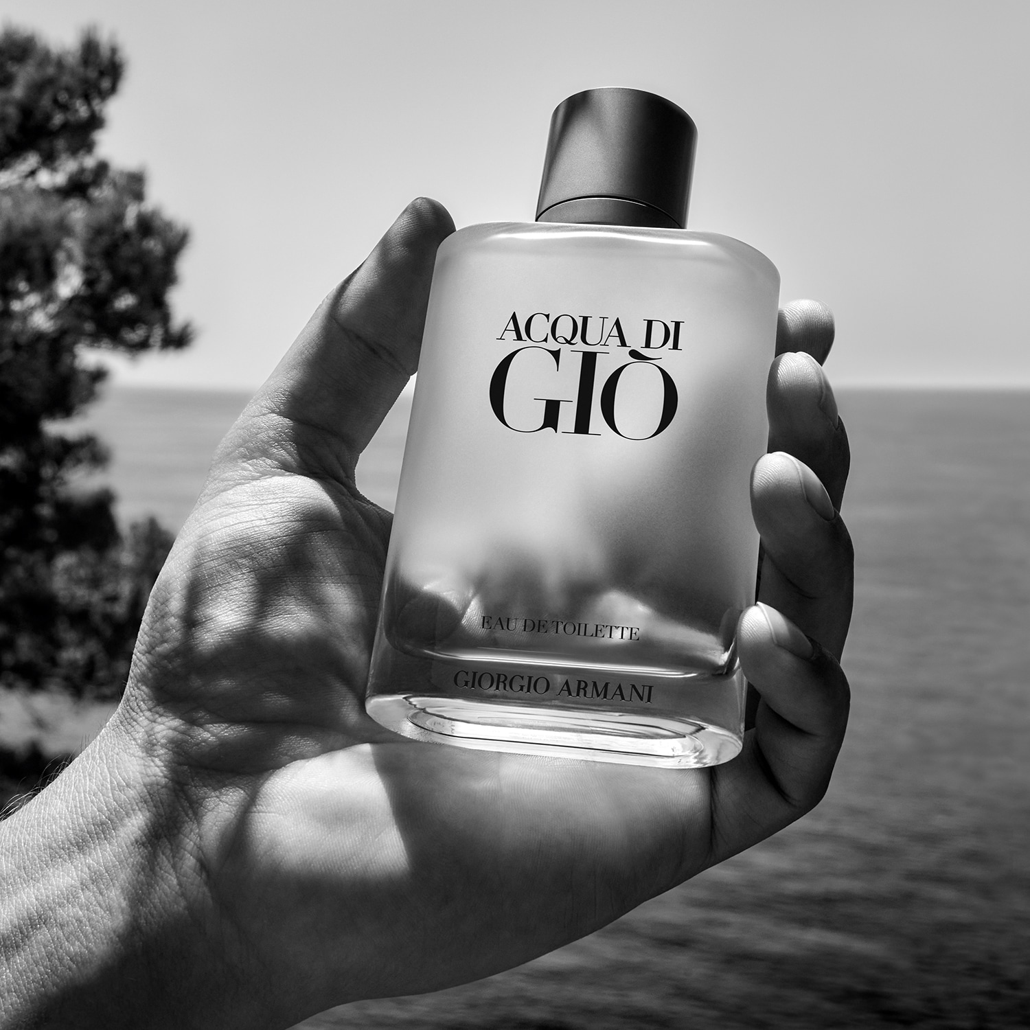 香水(ユニセックス) Acqua di Gio Eau de Toilette 200ml Amazon.co.jp: ジョルジオ アルマーニ アクア・デ・ジオ オム