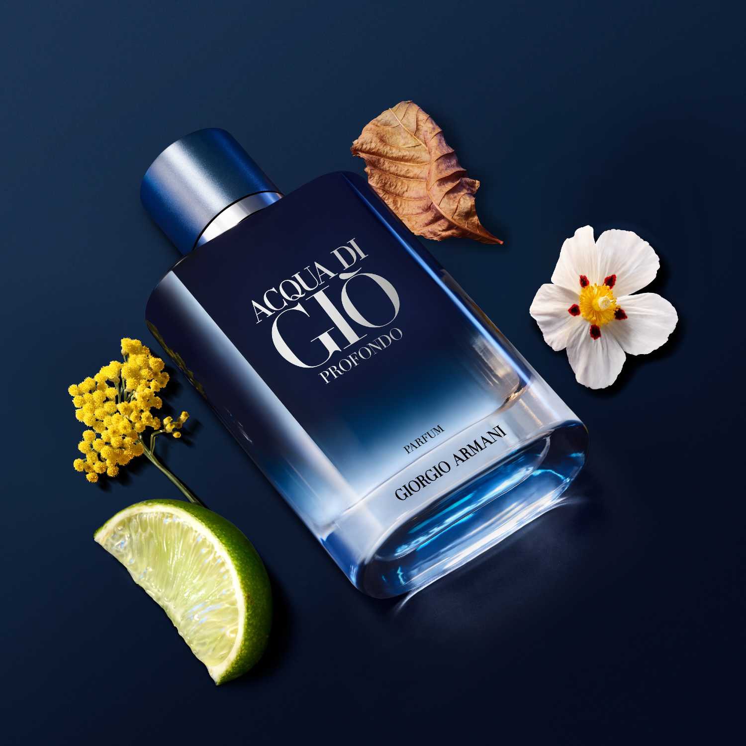 Acqua di Giò Profondo - Parfum de ARMANI ≡ SEPHORA