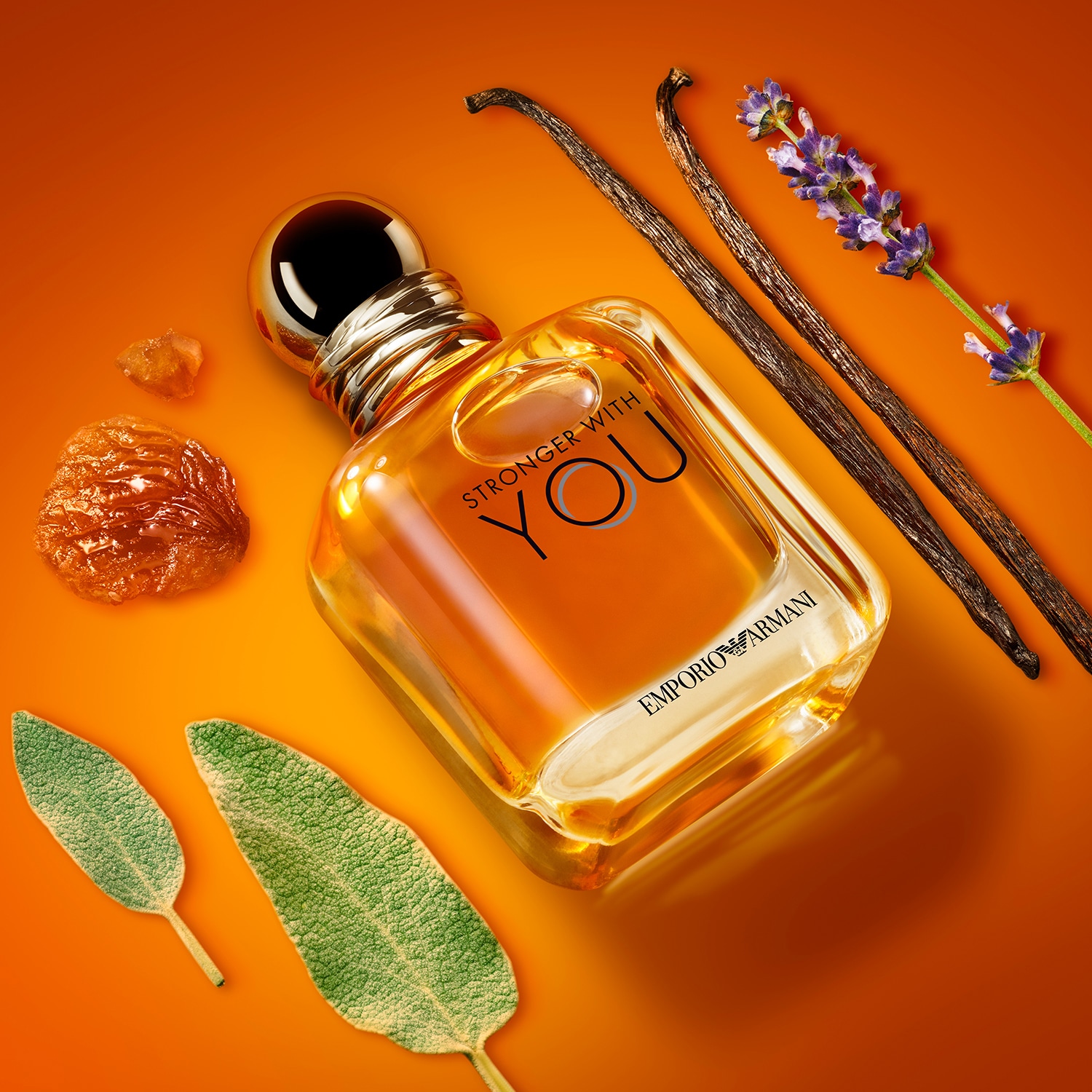アルマーニ　Stronger With You Emporio Armani Stronger with You - Eau de Toilette ❘ Armani