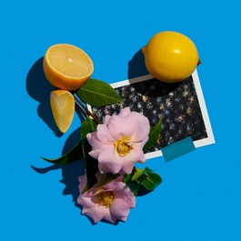 Camelia Intrepide - Čistý parfém