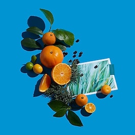 Clémentine California - Eau de Parfum
