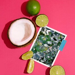 Pacific Lime - Čistý parfém