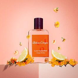 The product image is missing!