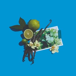 Vanille Insens&eacute;e - Cologne Absolue