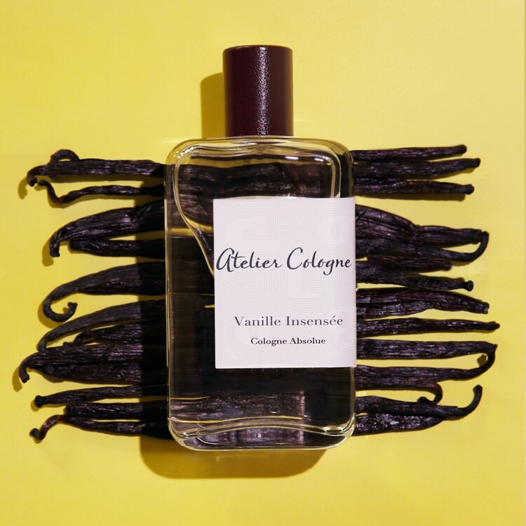 Vanille Insensée Cologne Absolue - Čistý parfém
