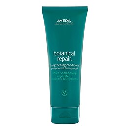 Botanical Repair - Yıpranmış Saçlar İçin Onarım Kremi