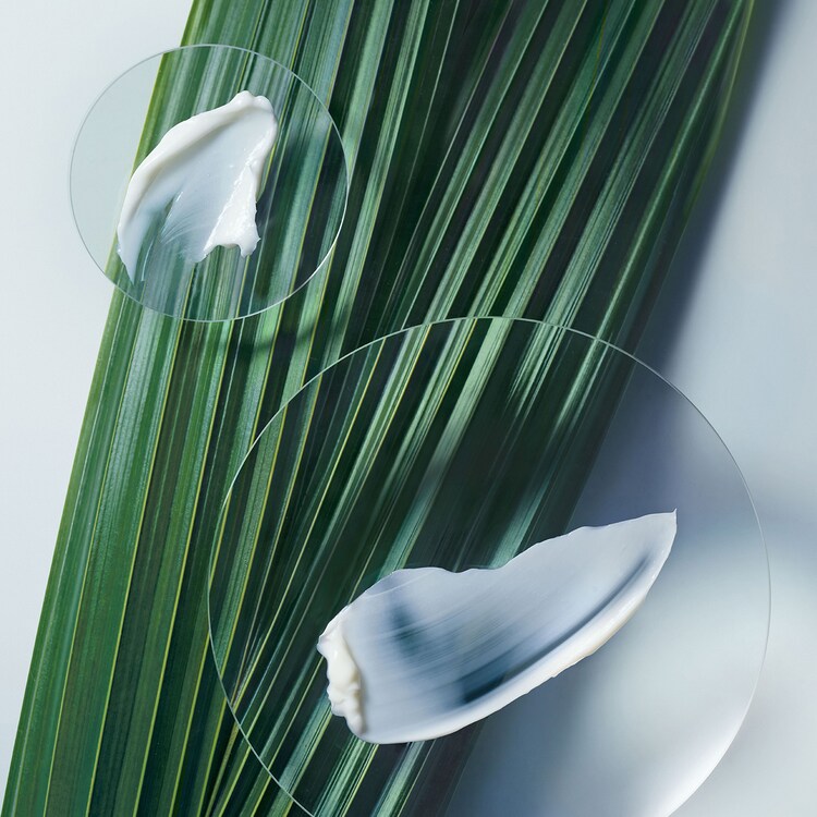 Botanical Repair™ - Masque Réparation Intense Cheveux Fins