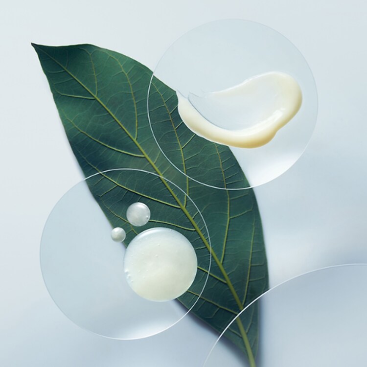 BOTANICAL REPAIR™ - Shampooing Réparateur