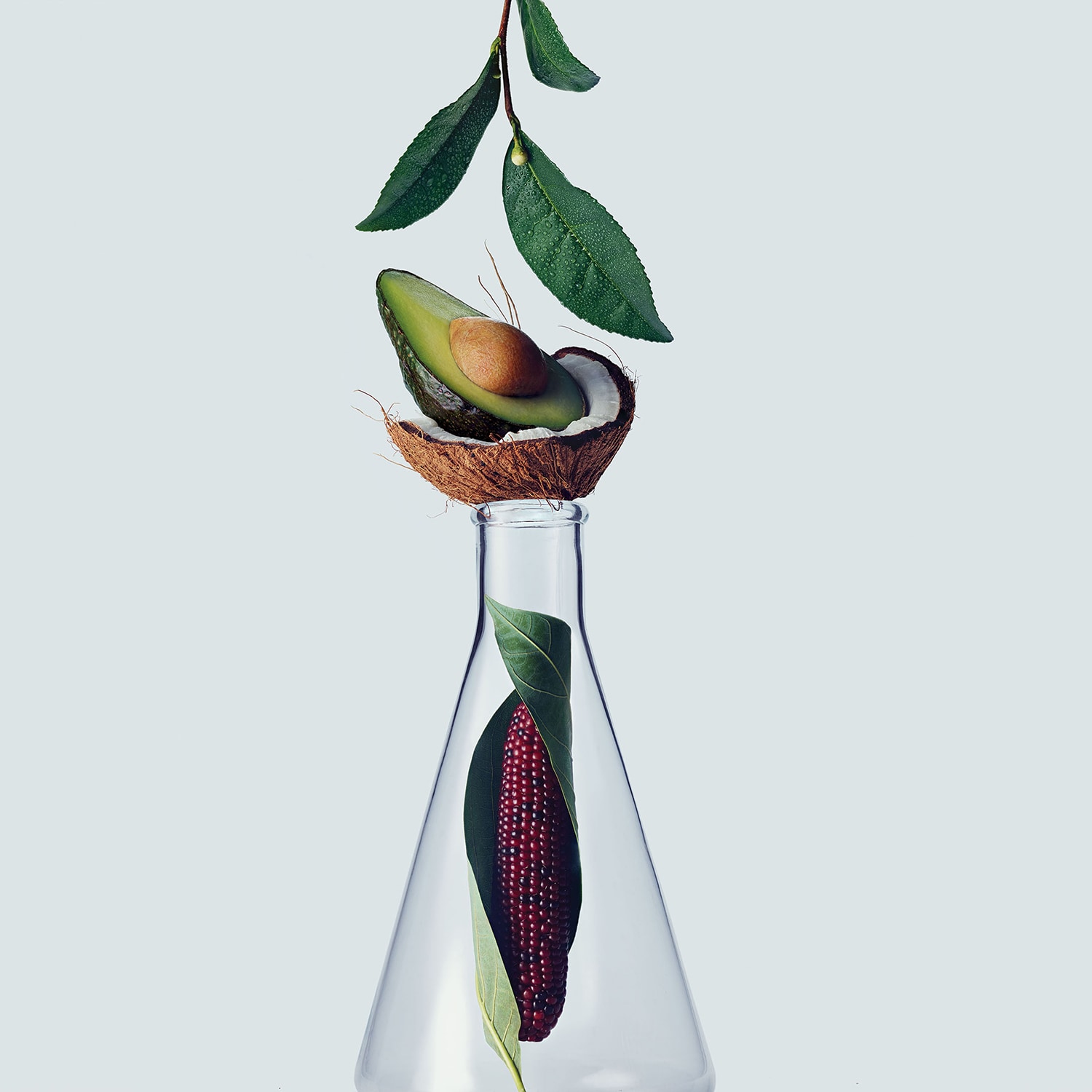 botanical repair™ - Sampon ❘ Aveda ≡ SEPHORA