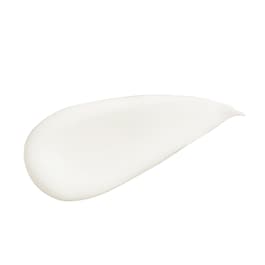 Botanical Repair - Strengthening Leave-In Treatment