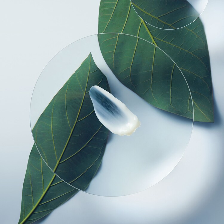 Routine cheveux secs