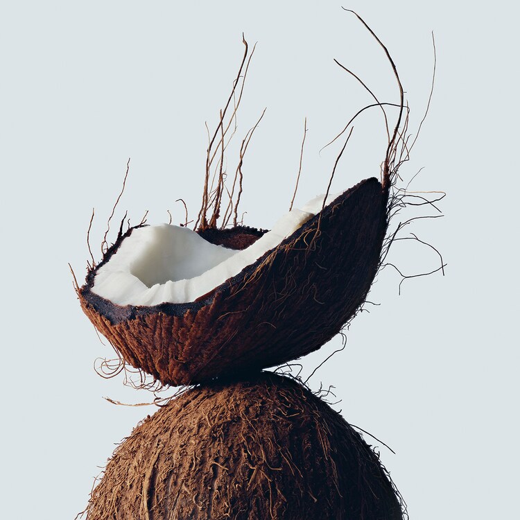 Botanical Repair - Yıpranmış Saçlar İçin Onarım Maskesi: Hafif Doku