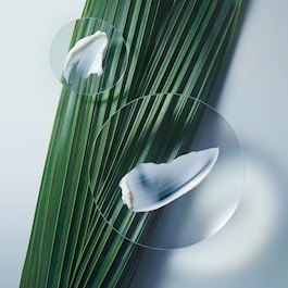 Botanical Repair Masque - M&aacute;scara Ligeira Reparadora Tamanho de Viagem