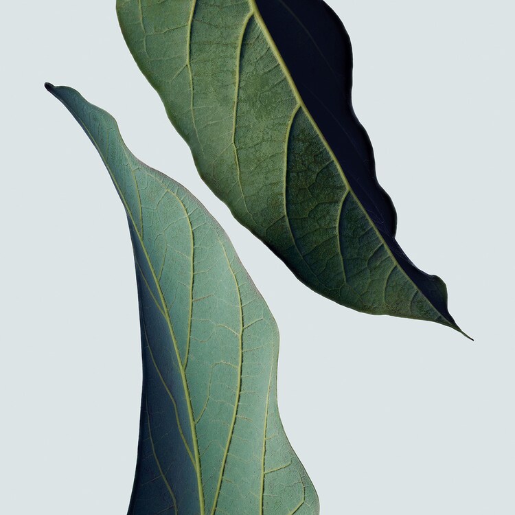 Botanical Repair - Trattamento leave-in in formato da viaggio