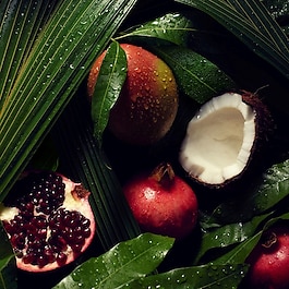 Nutriplenish™ - Hafif Nemlendirici Şampuan